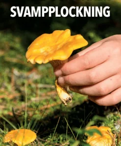 Enkel och säker svamplockning