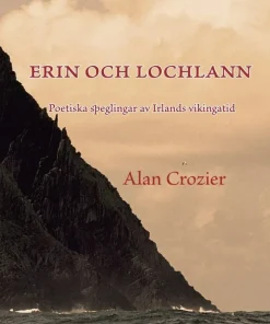 Erin och Lochlann : poetiska speglingar av Irlands vikingatid