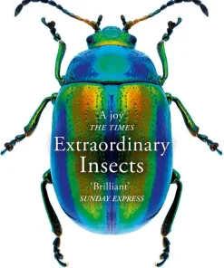 Extraordinary Insects