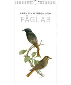 Familjekalender 2026 Fåglar