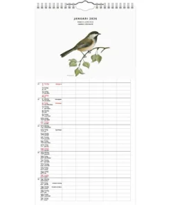 Familjekalender 2026 Fåglar