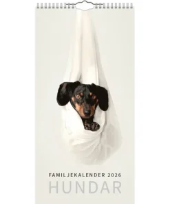Familjekalender 2026 Hundar