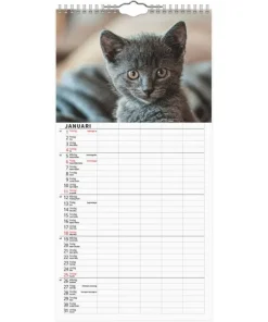 Familjekalender 2026 Katter