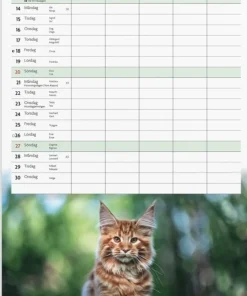 Familjekalender 2026 Katter