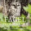 Fågelpromenader i Kungliga nationalstadsparken