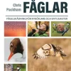 Fåglar : fågelskådning för nybörjare och entusiaster