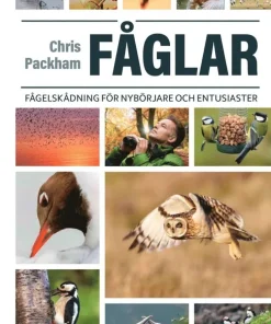 Fåglar : fågelskådning för nybörjare och entusiaster