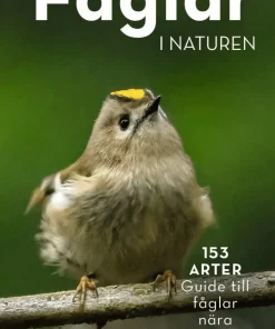 Fåglar i naturen : 153 arter, guide till fåglar nära dig