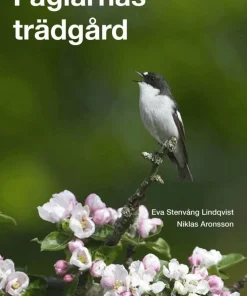 Fåglarnas trädgård