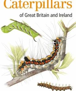Field Guide to the Caterpillars of Great Britain and Ireland