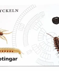 Fältnyckeln. Mångfotingar