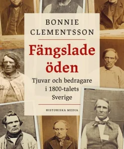 Fängslade öden : tjuvar och bedragare i 1800-talets Sverige