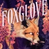 Foxglove