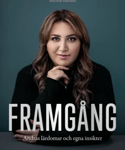 Framgång : andras lärdomar och egna insikter