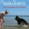 Från kontroll till samarbete : låt hunden visa vägen