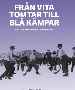 Från Vita tomtar till Blå kämpar : historier om Mölndals Bandyklubb