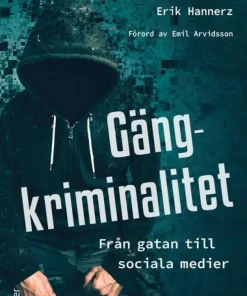 Gängkriminalitet : Från gatan till sociala medier