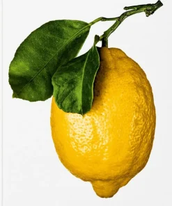 Gourmand's Lemon