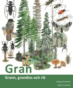 Gran : grann, grandios och rik