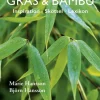 Gräs & bambu : inspiration - skötsel - lexikon