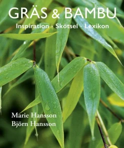 Gräs & bambu : inspiration - skötsel - lexikon