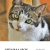 Hemma hos Hektor