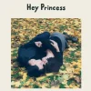 Hey Princess