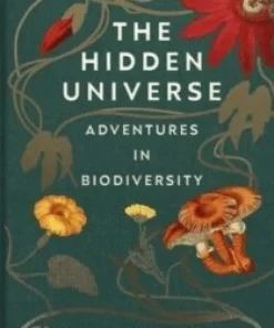 Hidden Universe
