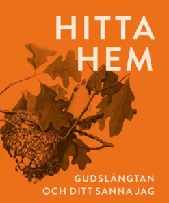 Hitta hem : Gudslängtan och ditt sanna jag