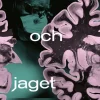 Hjärnan och jaget : operationsberättelser från platsen mellan kropp och själ