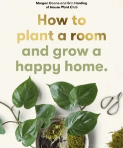 How to plant a room