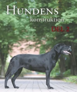 Hundens konstruktion, del 2