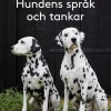 Hundens språk och tankar