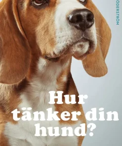 Hur tänker din hund?