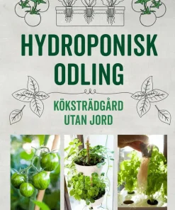 Hydroponisk odling : Köksträdgård utan jord