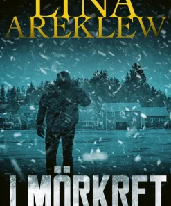I mörkret