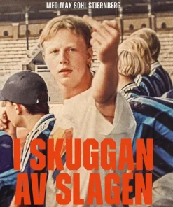 I skuggan av slaget