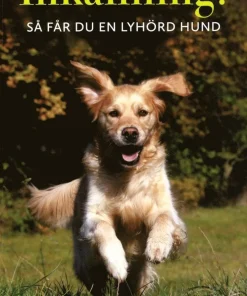 Inkallning! : så får du en lyhörd hund
