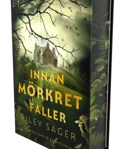 Innan mörkret faller