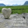 Jag ska bära din sorg till Nikkaluokta : en vandring i Dag Hammarskjölds fotspår