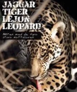 Jaguar, tiger, lejon, leopard : möten med de fyra stora kattdjuren