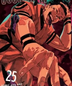Jujutsu Kaisen, Vol. 25