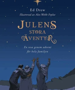 Julens stora äventyr : en resa genom advent för hela familjen