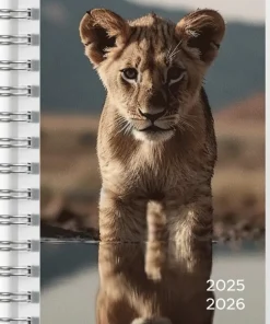 Kalender 2025-2026 Compact Pets