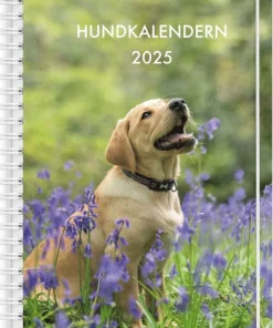 Kalender 2025 Hundkalendern