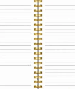 Kalender 2025-2026 Senator A6 Story Äng