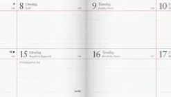 Kalender 2026 Tvåveckors Plankalender