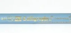 Kalligrafipenna TC-3100 karminröd