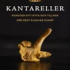 Kantareller : Konsten att hitta och tillaga vår mest älskade svamp