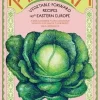 Kapusta